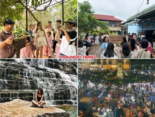 Lịch trình chiều ngày 3 tour Quảng Nam Đà Lạt ghép đoàn 4 ngày 3 đêm tham quan nông trại nuôi ong, Cường Hoàn Silk, Thác Pongour, khám phá Đà Lạt về đêm