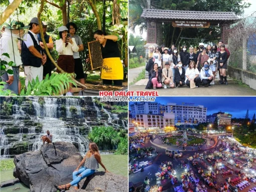 Lịch trình chiều ngày 2 tour Quảng Ngãi Đà Lạt ghép đoàn 4 ngày 3 đêm khám phá nông trại nuôi ong, Cường Hoàn Silk, Thác Pongour, tự do khám phá Đà Lạt về đêm