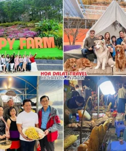 Lịch trình chiều ngày 1 tour Quy Nhơn Đà Lạt trọn gói 4 ngày 3 đêm tham quan Nông trại cún Puppy Farm, Check in Làng Nấm, Tự do khám phá thành phố Đà Lạt về đêm