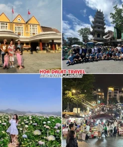 Lịch trình chiều ngày 2 tour Quy Nhơn Đà Lạt trọn gói 4 ngày 3 đêm tham quan Nhà ga xe lửa Đà Lạt, Chùa Linh Phước, Đồi hoa Cẩm Tú Cầu, tự do khám phá Đà Lạt về đêm