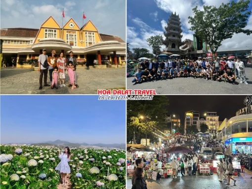 Lịch trình chiều ngày 2 tour Quy Nhơn Đà Lạt trọn gói 4 ngày 3 đêm tham quan Nhà ga xe lửa Đà Lạt, Chùa Linh Phước, Đồi hoa Cẩm Tú Cầu, tự do khám phá Đà Lạt về đêm