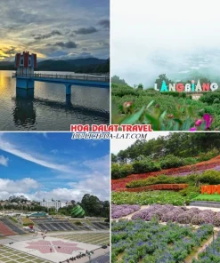 Các điểm nổi bật trong tour Sài Gòn Đà Lạt 3 ngày 3 đêm như hồ Tuyền Lâm, Langbiang, Quảng trường Đà Lạt, Puppy Farm