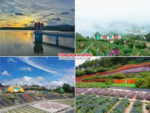 Các điểm nổi bật trong tour Sài Gòn Đà Lạt 3 ngày 3 đêm như hồ Tuyền Lâm, Langbiang, Quảng trường Đà Lạt, Puppy Farm