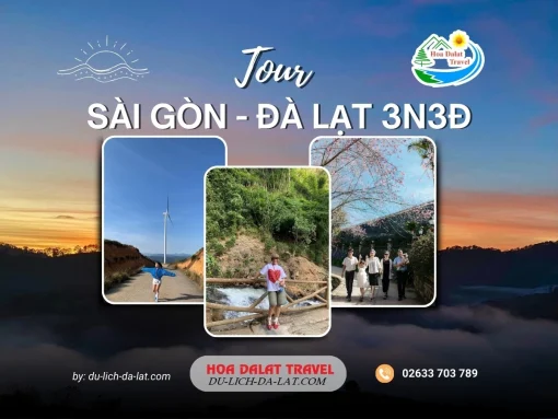 Tour Sài Gòn Đà Lạt 3 ngày 3 đêm