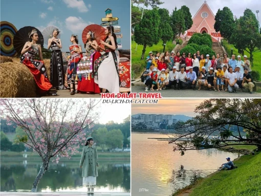 Lịch trình sáng đến chiều ngày 2 tour Sài Gòn Đà Lạt 3 ngày 3 đêm trọn gói khám phá Dapa Hill, nhà thờ Domain, khu vực hồ Xuân Hương