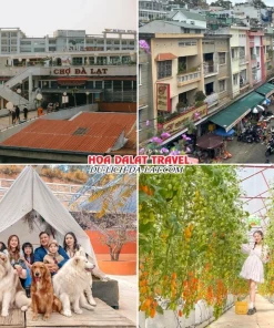 Lịch trình ngày 3 tour Sài Gòn Đà Lạt 3 ngày 3 đêm trọn gói mua sắm tại Chợ Đà Lạt, ghé thăm Nông Trại Cún Puppy Farm