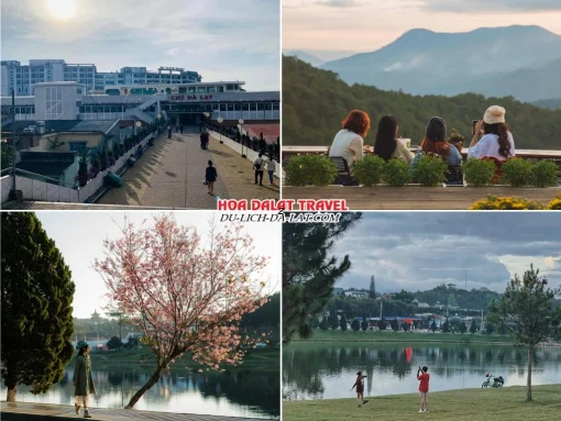 Lịch trình sáng ngày 1 tour Sài Gòn Đà Lạt 3 ngày 3 đêm ghép đoàn tự do dạo chơi tại chợ Đà Lạt, hồ Xuân Hương