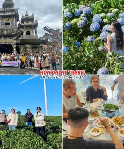 Lịch trình sáng ngày 3 tour Sài Gòn Đà Lạt trọn gói 4 ngày 3 đêm khám phá Chùa Linh Phước, Đồi hoa Cẩm Tú Cầu, Đồi chè Cầu Đất, dùng bữa trưa tại nhà hàng