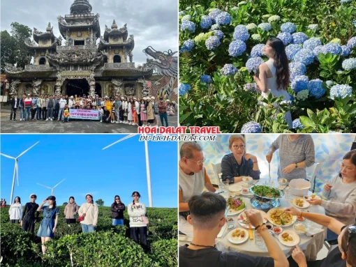 Lịch trình sáng ngày 3 tour Sài Gòn Đà Lạt trọn gói 4 ngày 3 đêm khám phá Chùa Linh Phước, Đồi hoa Cẩm Tú Cầu, Đồi chè Cầu Đất, dùng bữa trưa tại nhà hàng