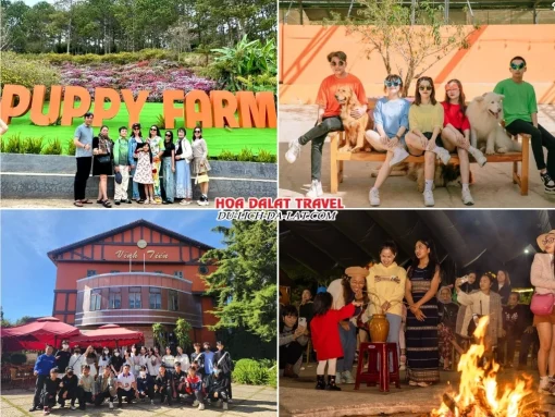 Lịch trình chiều ngày 3 tour Sài Gòn Đà Lạt trọn gói 4 ngày 3 đêm tham quan Nông trại cún Puppy Farm, Dalat Fairytale Land, Tham gia lễ hội cồng chiêng Tây Nguyên