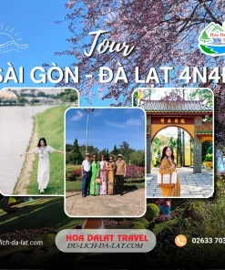 Tour Sài Gòn Đà Lạt 4 ngày 4 đêm