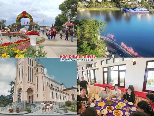 Lịch trình sáng ngày 2 Tour Sài Gòn Đà Lạt trọn gói 4 ngày 4 đêm khám phá Vườn Hoa Thành Phố Đà Lạt, Hồ Xuân Hương, Nhà Thờ Con Gà, dùng bữa trưa tại nhà hàng