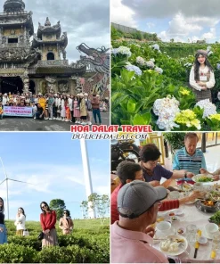 Lịch trình sáng ngày 3 Tour Sài Gòn Đà Lạt trọn gói 4 ngày 4 đêm tham quan Chùa Linh Phước, Đồi hoa Cẩm Tú Cầu, Đồi chè Cầu Đất, dùng bữa trưa tại nhà hàng