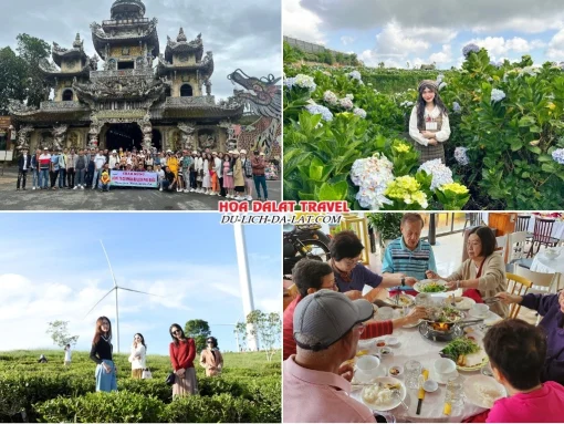 Lịch trình sáng ngày 3 Tour Sài Gòn Đà Lạt trọn gói 4 ngày 4 đêm tham quan Chùa Linh Phước, Đồi hoa Cẩm Tú Cầu, Đồi chè Cầu Đất, dùng bữa trưa tại nhà hàng