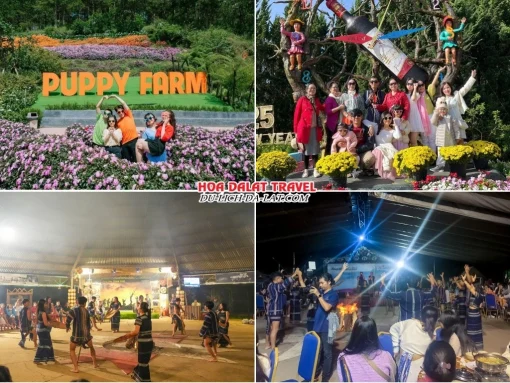 Lịch trình chiều, tối ngày 3 Tour Sài Gòn Đà Lạt trọn gói 4 ngày 4 đêm tham quan Nông trại cún Puppy Farm, Dalat Fairytale Land, Tham gia lễ hội cồng chiêng Tây Nguyên