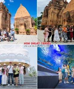 Lịch trình sáng ngày 2 tour Sài Gòn Nha Trang Đà Lạt trọn gói 5 ngày 4 đêm tham quan Tháp Bà Ponagar, Chùa Long Sơn, Viện Hải Dương Học Nha Trang