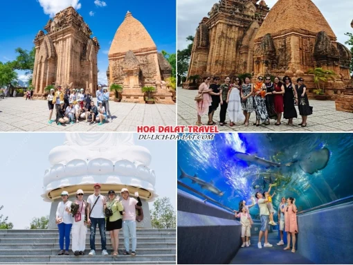 Lịch trình sáng ngày 2 tour Sài Gòn Nha Trang Đà Lạt trọn gói 5 ngày 4 đêm tham quan Tháp Bà Ponagar, Chùa Long Sơn, Viện Hải Dương Học Nha Trang