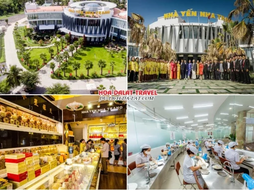 Lịch trình sáng ngày 3 tour Sài Gòn Nha Trang Đà Lạt trọn gói 5 ngày 4 đêm tham quan Nhà Yến Nha Trang