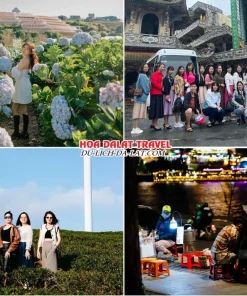 Lịch trình chiều ngày 1 tour Tây Ninh Đà Lạt trọn gói 4 ngày 3 đêm Check in Cánh đồng hoa Cẩm Tú Cầu, Chùa Linh Phước, Đồi chè Cầu Đất, Dạo tại chợ đêm Đà Lạt