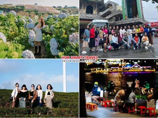 Lịch trình chiều ngày 1 tour Tây Ninh Đà Lạt trọn gói 4 ngày 3 đêm Check in Cánh đồng hoa Cẩm Tú Cầu, Chùa Linh Phước, Đồi chè Cầu Đất, Dạo tại chợ đêm Đà Lạt