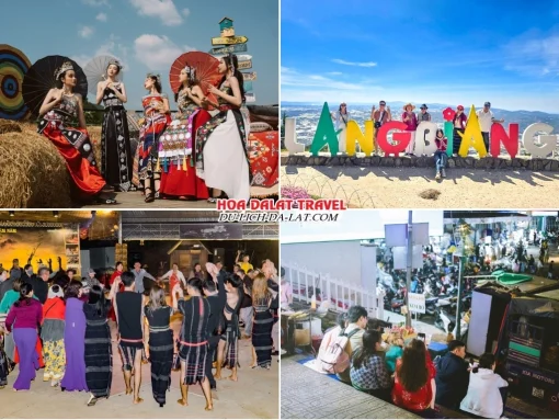 Lịch trình chiều ngày 3 tour Tây Ninh Đà Lạt trọn gói 4 ngày 3 đêm tham quan Dapa Hill, Khu du lịch LangBiang, Tham gia chương trình giao lưu văn hóa Cồng Chiêng hoặc dạo chợ đêm Đà Lạt