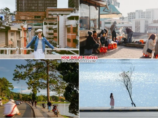 Lịch trình sáng ngày 1 tour Tây Ninh Đà Lạt ghép đoàn 4 ngày 3 đêm tham quan chợ Đà Lạt, dạo quanh hồ Xuân Hương