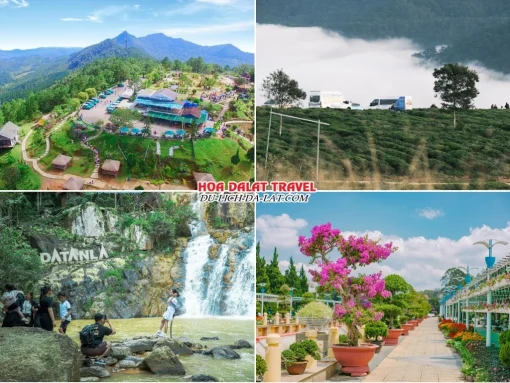 Những điểm đến hấp dẫn trong tour Tây Ninh đi Đà Lạt 4 ngày 3 đêm như Langbiang, đồi chè Cầu Đất, thác Datanla, vườn hoa thành phố Đà Lạt