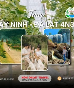 Tour Tây Ninh Đà Lạt 4 ngày 3 đêm