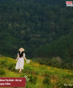 Giá tour ghép đoàn Tây Ninh Đà Lạt 4 ngày 3 đêm từ 2.300.000 đồng đến 3.800.000 đồng 1 người