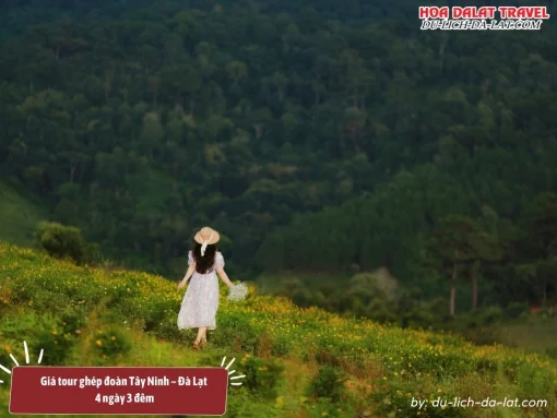 Giá tour ghép đoàn Tây Ninh Đà Lạt 4 ngày 3 đêm từ 2.300.000 đồng đến 3.800.000 đồng 1 người