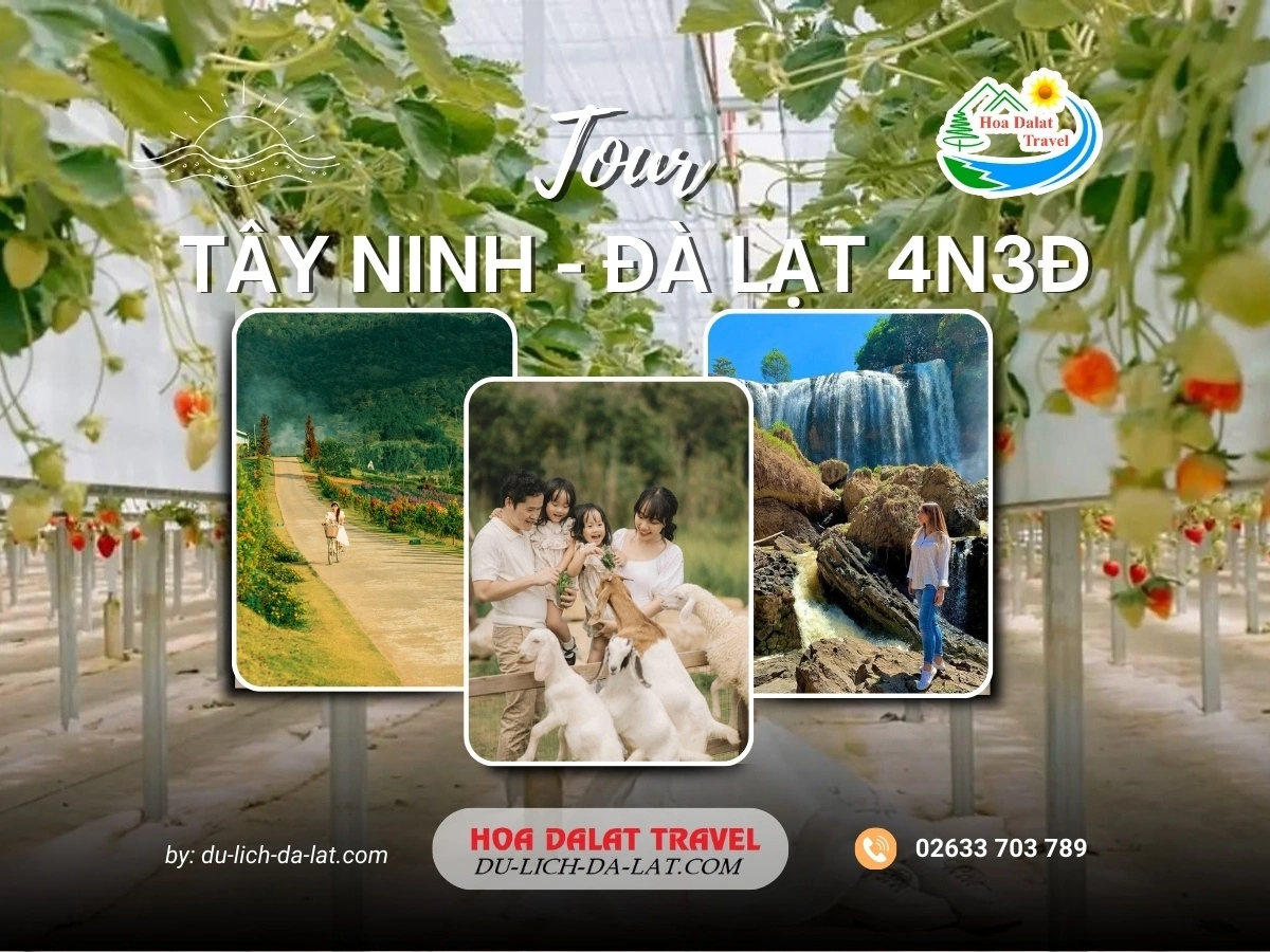 Tour Tây Ninh Đà Lạt 4 ngày 3 đêm