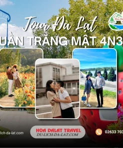 Tour tuần trăng mật Đà Lạt 4 ngày 3 đêm