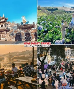 Lịch trình chiều ngày 1 tour tuần trăng mật Đà Lạt 4 ngày 3 đêm tham quan Chùa Linh Phước, Đồi hoa Cẩm Tú Cầu, Xóm Lèo, dạo quanh thành phố Đà Lạt về đêm