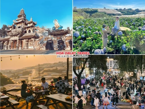 Lịch trình chiều ngày 1 tour tuần trăng mật Đà Lạt 4 ngày 3 đêm tham quan Chùa Linh Phước, Đồi hoa Cẩm Tú Cầu, Xóm Lèo, dạo quanh thành phố Đà Lạt về đêm