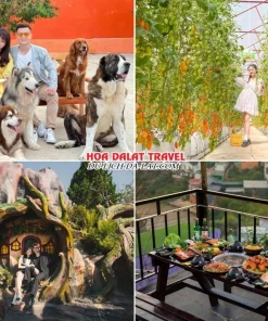 Lịch trình sáng ngày 3 tour tuần trăng mật Đà Lạt 4 ngày 3 đêm tham quan Trang trại cún Puppy Farm, Fairytale Land, dùng bữa trưa