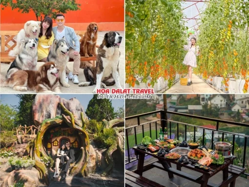 Lịch trình sáng ngày 3 tour tuần trăng mật Đà Lạt 4 ngày 3 đêm tham quan Trang trại cún Puppy Farm, Fairytale Land, dùng bữa trưa