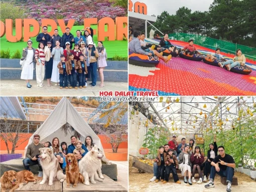 Lịch trình sáng ngày 3 tour Vinh Đà Lạt trọn gói 4 ngày 3 đêm tham quan Nông trại cún Puppy Farm, chơi trượt phao khô, tham quan các khu vườn rau