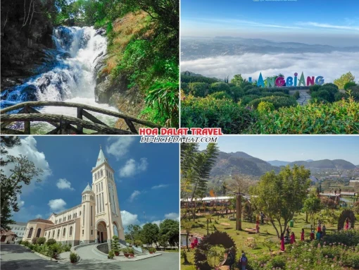 Các điểm đến đặc biệt trong tour Vinh đi Đà Lạt 4 ngày 3 đêm như thác Datanla, Langbiang, nhà thờ Con Gà, Mê Linh Coffee Garden