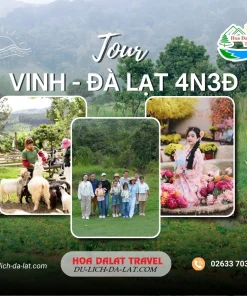 Tour Vinh Đà Lạt 4 ngày 3 đêm