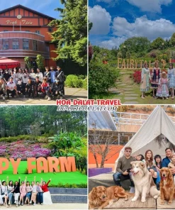 Lịch trình sáng ngày 3 tour Vũng Tàu Đà Lạt trọn gói 4 ngày 3 đêm tham quan Làng Cổ Tích, Puppy Farm, đến nhà hàng dùng bữa trưa