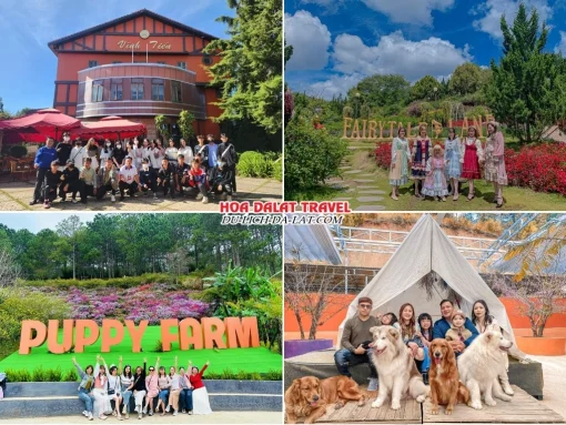 Lịch trình sáng ngày 3 tour Vũng Tàu Đà Lạt trọn gói 4 ngày 3 đêm tham quan Làng Cổ Tích, Puppy Farm, đến nhà hàng dùng bữa trưa