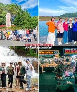 Lịch trình chiều ngày 3 tour Vũng Tàu Đà Lạt trọn gói 4 ngày 3 đêm tham quan Thiền viện Trúc Lâm, Hồ Tuyền Lâm, Thác Datanla, khám phá thành phố Đà Lạt về đêm
