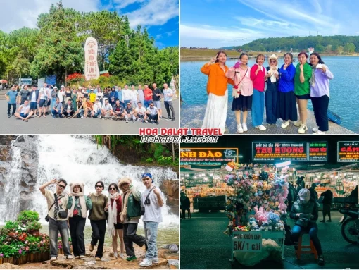 Lịch trình chiều ngày 3 tour Vũng Tàu Đà Lạt trọn gói 4 ngày 3 đêm tham quan Thiền viện Trúc Lâm, Hồ Tuyền Lâm, Thác Datanla, khám phá thành phố Đà Lạt về đêm