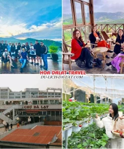 Lịch trình sáng ngày 4 tour Vũng Tàu Đà Lạt trọn gói 4 ngày 3 đêm khám phá Tiệm cà phê Bình Minh Ơi, Chợ Đà Lạt, hái dâu tây tại vườn