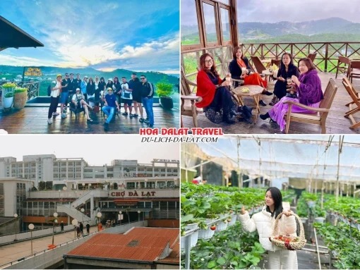 Lịch trình sáng ngày 4 tour Vũng Tàu Đà Lạt trọn gói 4 ngày 3 đêm khám phá Tiệm cà phê Bình Minh Ơi, Chợ Đà Lạt, hái dâu tây tại vườn