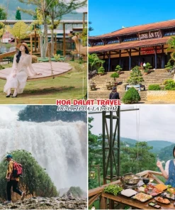Lịch trình sáng ngày 2 tour Vũng Tàu Đà Lạt ghép đoàn 4 ngày 3 đêm tham quan Mê Linh Garden Coffee, Chùa Linh Ẩn, Thác Voi, dùng bữa trưa