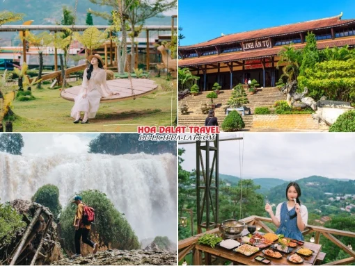 Lịch trình sáng ngày 2 tour Vũng Tàu Đà Lạt ghép đoàn 4 ngày 3 đêm tham quan Mê Linh Garden Coffee, Chùa Linh Ẩn, Thác Voi, dùng bữa trưa