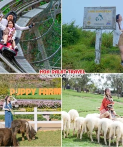 Những điểm đến nổi bật trong tour Vũng Tàu đi Đà Lạt 4 ngày 3 đêm như thác Datanla, đỉnh Langbiang, Puppy Farm, Mongo Land Đà Lạt