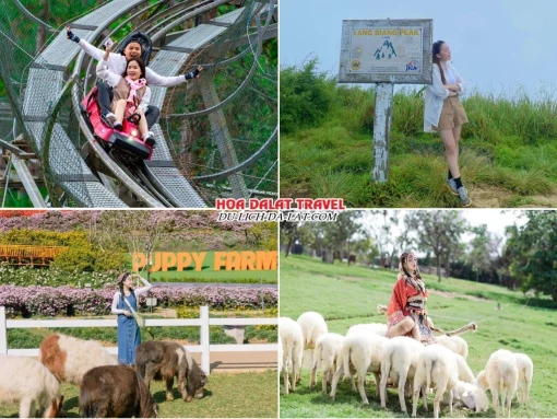 Những điểm đến nổi bật trong tour Vũng Tàu đi Đà Lạt 4 ngày 3 đêm như thác Datanla, đỉnh Langbiang, Puppy Farm, Mongo Land Đà Lạt