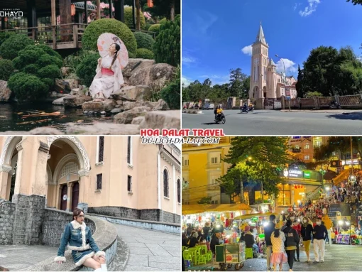 Lịch trình chiều ngày 3 tour Vũng Tàu Đà Lạt ghép đoàn 4 ngày 3 đêm tham quan Hoàng Long Ohayo, Nhà thờ Con Gà, khám phá thành phố Đà Lạt về đêm